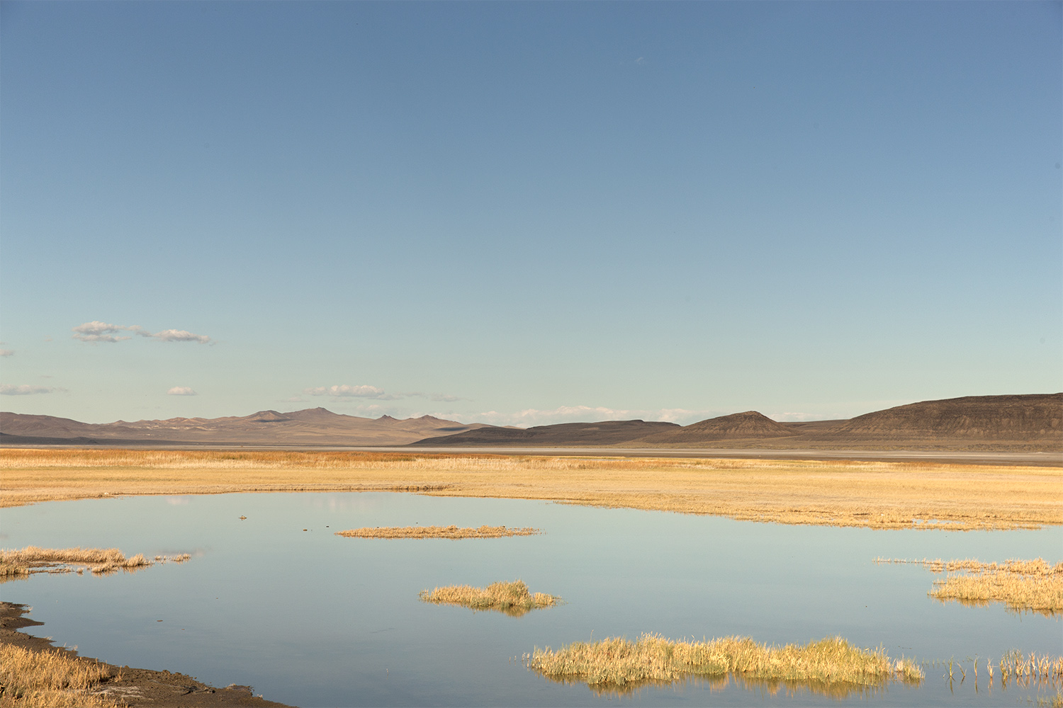 Wohlwender_Landscapes_0O8W7591-2v2