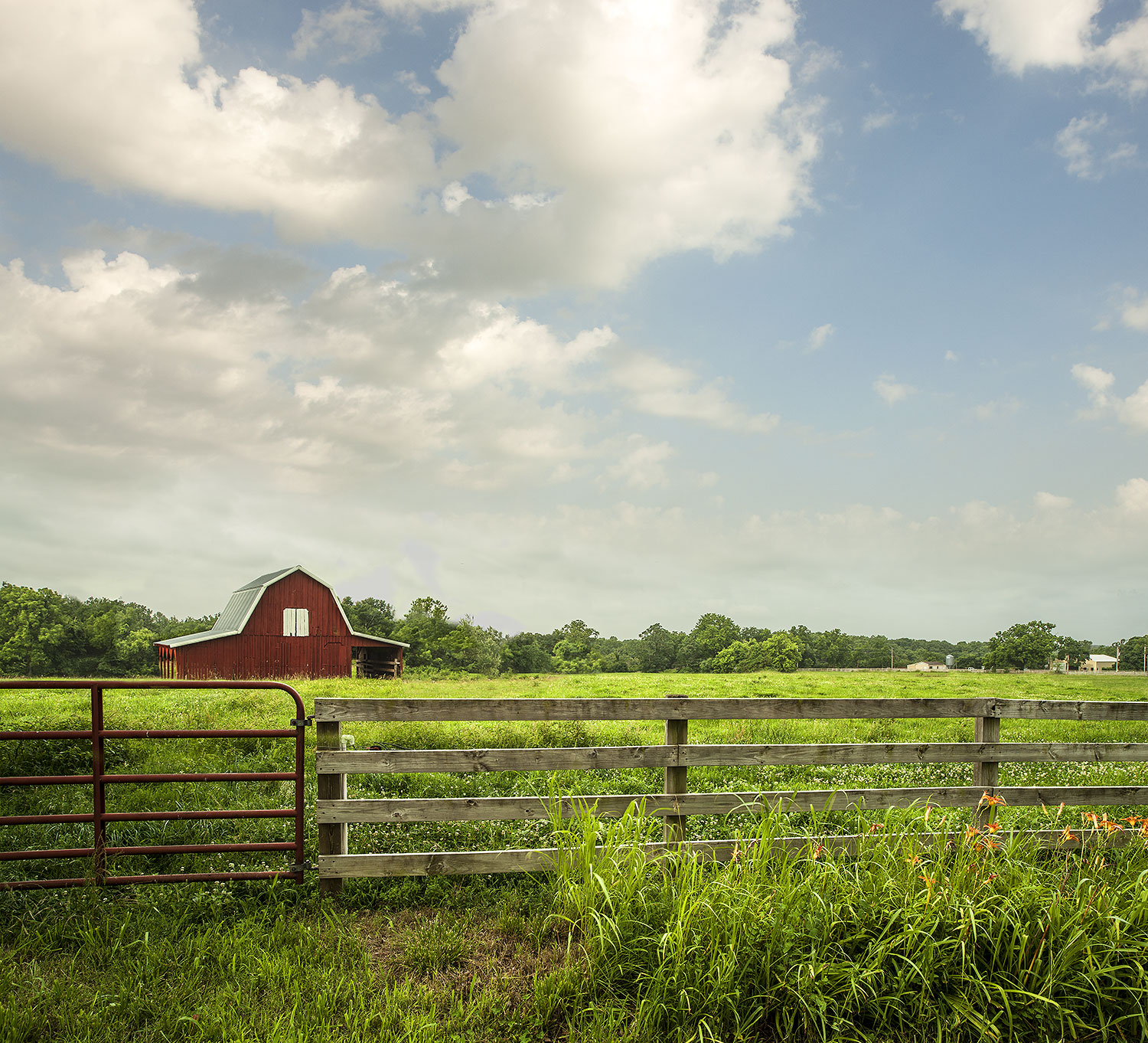 Wohlwender_Landscapes_0O8W8569-rrf