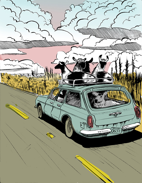 studioMiguel_Illustration_z_drivingllamas